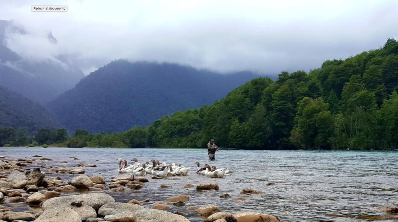 Cabanas Nutrias Patagonicas Puelo River Dış mekan fotoğraf